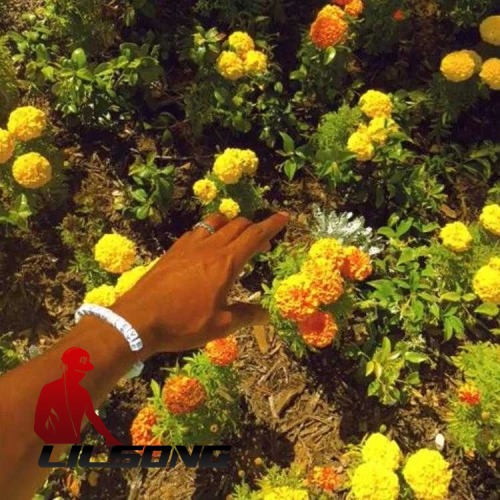 Tyler, The Creator - Peach Fuzz